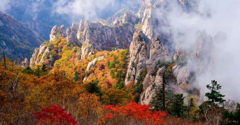 Seoul: Mt. Seorak National Park Autumn Foliage One Day Tour - Itinerary Details