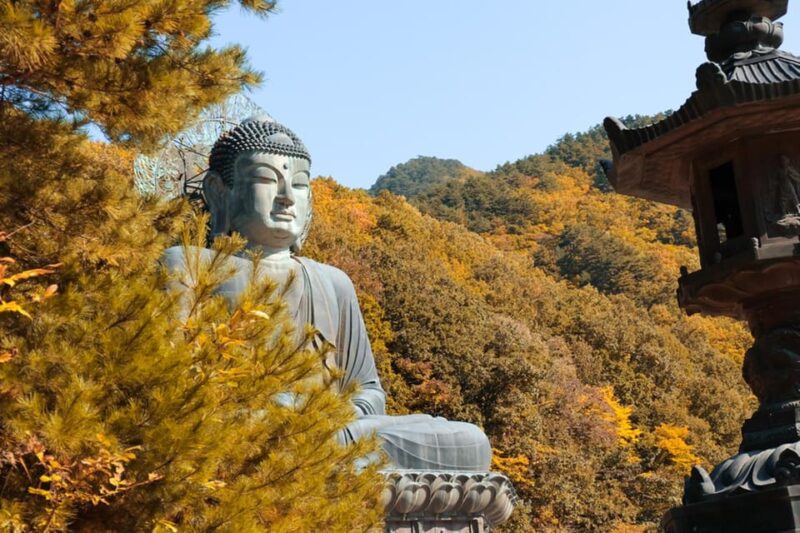 Seoul: Mt. Seorak National Park Autumn Foliage One Day Tour - Sightseeing and Trekking