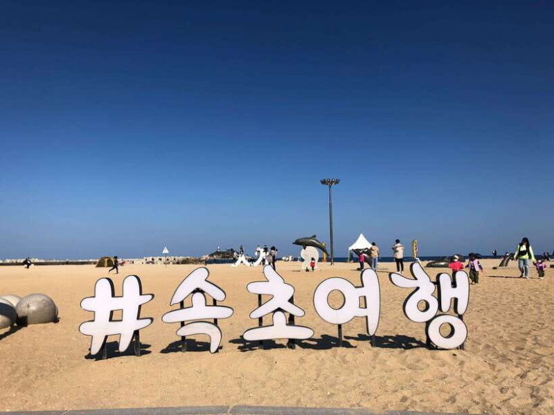 Seoul: Mt Seorak(Cable Car)+Sokcho Beach&Market+Observatory - An In-Depth Look at the Tour Experience