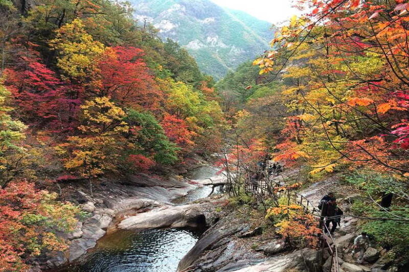 Seoul: Mt Seorak(Cable Car)+Sokcho Beach&Market+Observatory - Who Will Love This Tour?