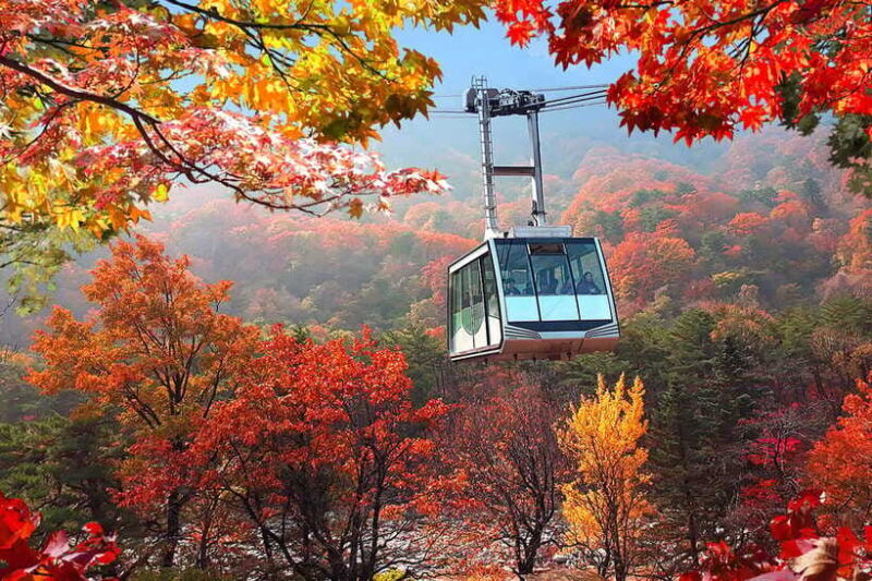 Seoul: Mt Seorak(Cable Car)+Sokcho Beach&Market+Observatory - FAQ