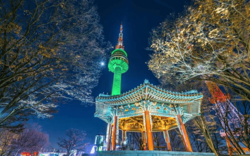 Seoul: N Seoul Tower Observatory Ticket - Who Should Consider This Experience?