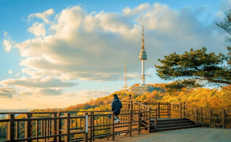 Seoul: N Seoul Tower Observatory Ticket - FAQ