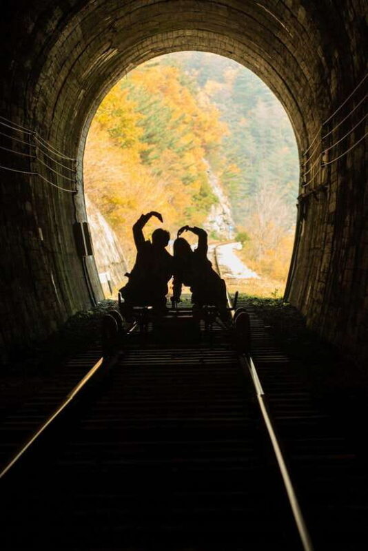 Seoul: Nami Island & Alpaca World & Railbike (+Healing Park) - Key Points