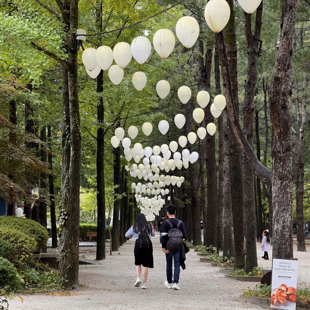Seoul: Nami Island and Garden of Morning Calm Day Trip - Key Points