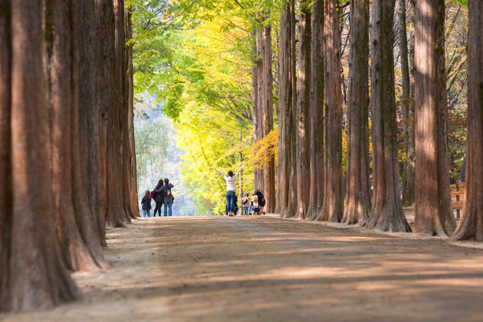 Seoul: Nami Island and Garden of Morning Calm Day Trip - Seasonal Attractions
