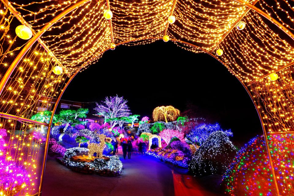 Seoul: Nami Island and Garden of Morning Calm Day Trip - Rail Bike Experience