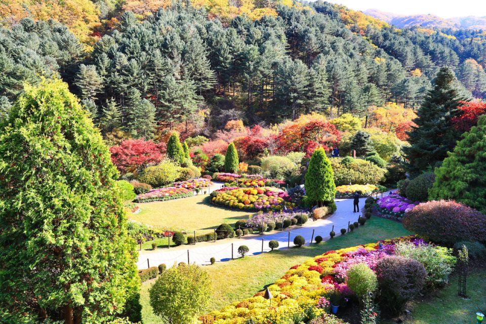 Seoul: Nami Island and Garden of Morning Calm Day Trip - Package Inclusions