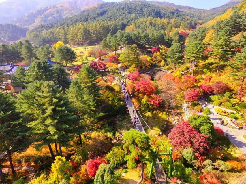 Seoul: Nami Island and Garden of Morning Calm Day Trip - Frequently Asked Questions