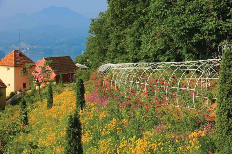 Seoul: Nami Island, Garden and Petite France with Railbike - The Sum Up