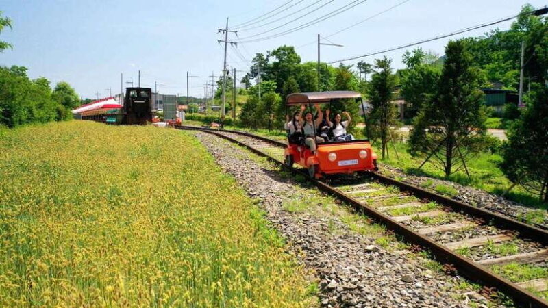 Seoul: Nami Island/Garden of Morning Calm Tour (+Rail Bike) - What’s Included & What to Keep in Mind