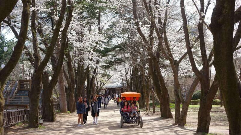 Seoul: Nami Island/Garden of Morning Calm Tour (+Rail Bike) - The Sum Up: Who Will Love This Tour?