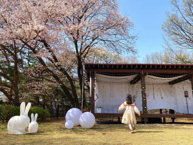 Seoul: Nami Island, Petite France, Morning Calm, Railbike - An In-Depth Look at the Tour Experience