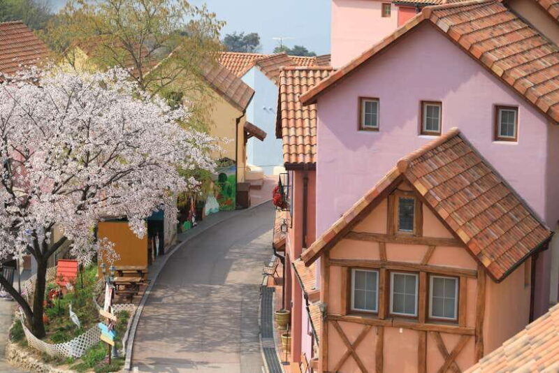 Seoul: Nami Island, Petite France, Morning Calm, Railbike - Final Thoughts: Who Will Love This Tour?  