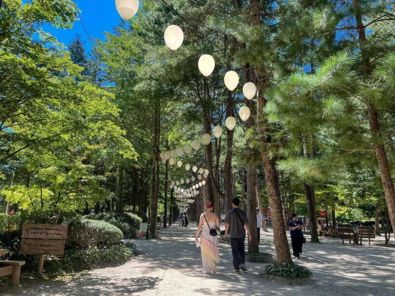 Seoul: Nami Island & Petite France Tour with Railbike Option - Key Points