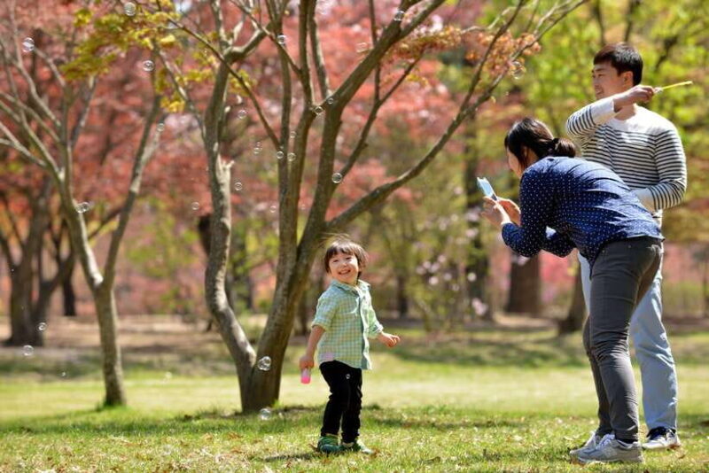 Seoul: Nami Island & Petite France Tour with Railbike Option - An In-Depth Look at the Tour Experience