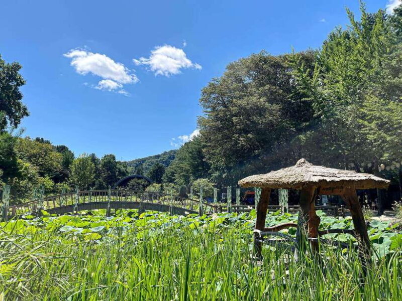 Seoul: Nami Island & Petite France Tour with Railbike Option - FAQs