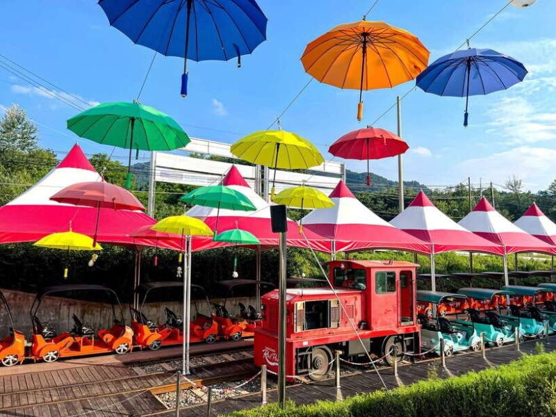 Seoul: Nami Island & Railbike & Begonia Bird Park Day Tour - Introduction