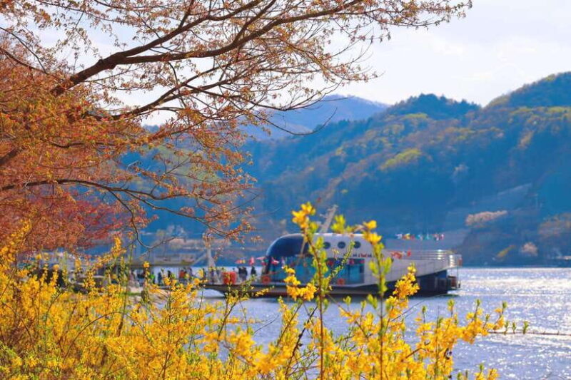 Seoul: Nami Island & Railbike & Begonia Bird Park Day Tour - Who This Tour is Best For