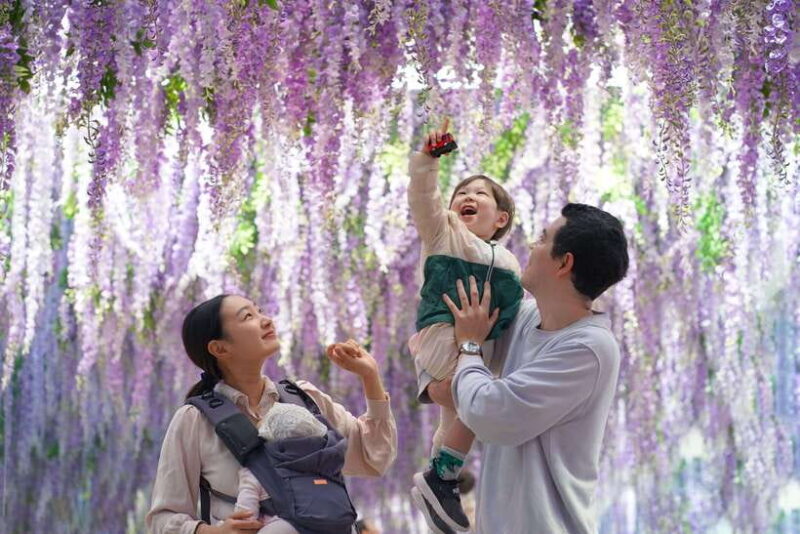 Seoul: Nami Island & Railbike & Begonia Bird Park Day Tour - FAQs