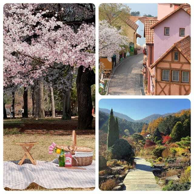 Seoul: Nami, Petite France, Morning Garden (+Healing Park) - Real Visitor Perspectives