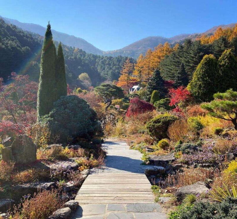 Seoul: Nami, Rail Bike, Morning Garden (+Healing Park) - An Overview of What to Expect