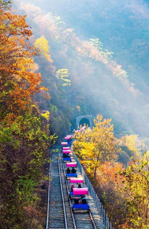Seoul: Nami, Rail Bike, Morning Garden (+Healing Park) - The Full Itinerary Breakdown