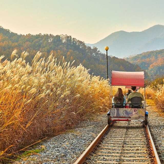 Seoul: Nami, Rail Bike, Morning Garden (+Healing Park) - Final Thoughts
