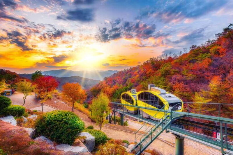 Seoul: Pocheon Art Valley and Fruit Picking Day Tour - Key Points