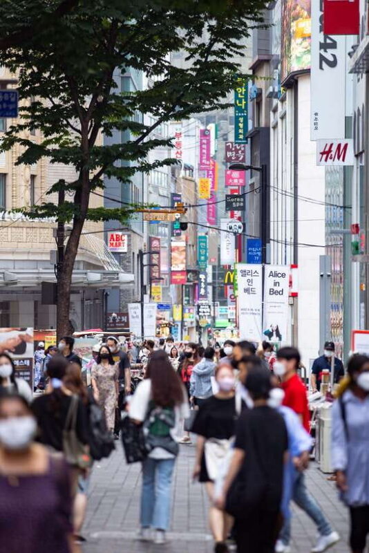 Seoul: Private chartered vehicle Staria van City Tour - Price and Value