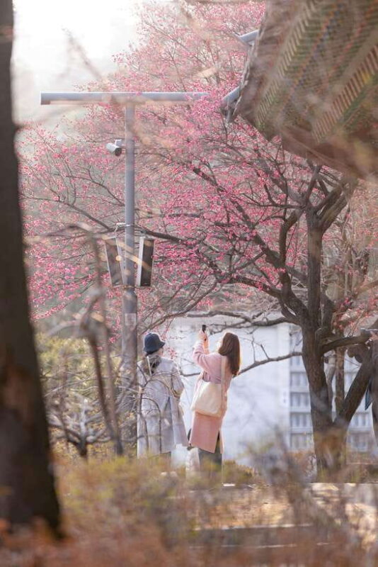 Seoul: Private chartered vehicle Staria van City Tour - Who Is This Tour Best For?