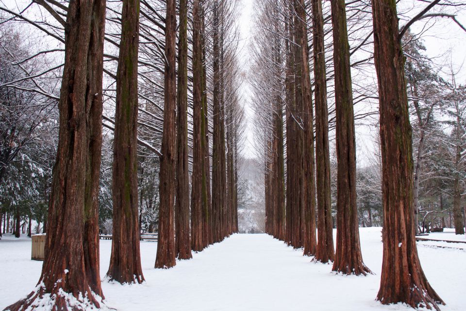 Seoul: Private Customizable Tour to Nami Island and More - Booking Details