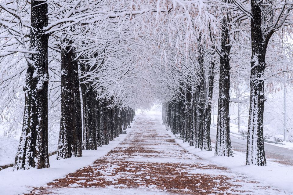 Seoul: Private Customizable Tour to Nami Island and More - Visiting Petite France