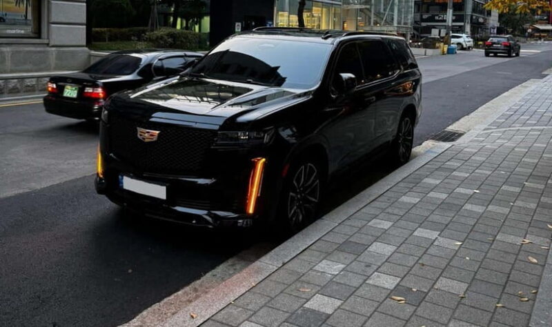 Seoul: Private Luxury Vehicle Tour - English/Spanish guiding - What to Expect on the Tour