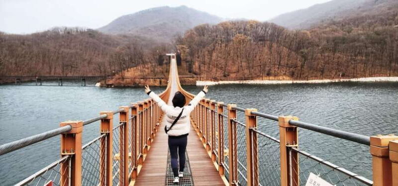 Seoul: Private Taxi Tour Car Charter - Nami Alpaca Seorak - Key Points