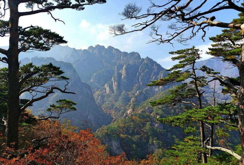 Seoul: Private Taxi Tour Car Charter - Nami Alpaca Seorak - Breakdown of the Tour Itinerary Options