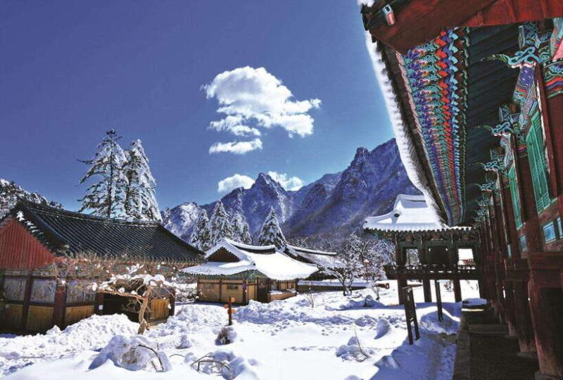 Seoul: Private Taxi Tour Car Charter - Nami Alpaca Seorak - Authentic Experiences and Real Feedback
