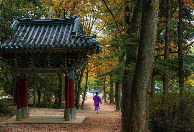 Seoul: Scenic Sunset Hike, Temple & Korean Street Food Tour - Key Points
