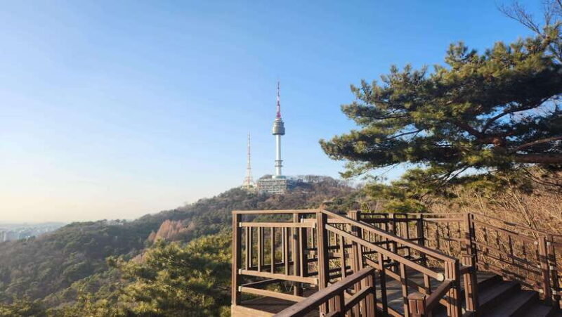 Seoul: Services of a Local for a Day (Paperwork/Tour/Fun) - Who Should Consider This Tour?