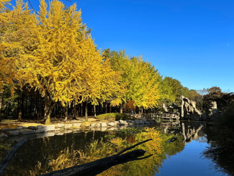 Seoul: Strawberry, Nami Island & Garden Of Morning Calm Tour - Final Thoughts: Who Will Love This Tour?