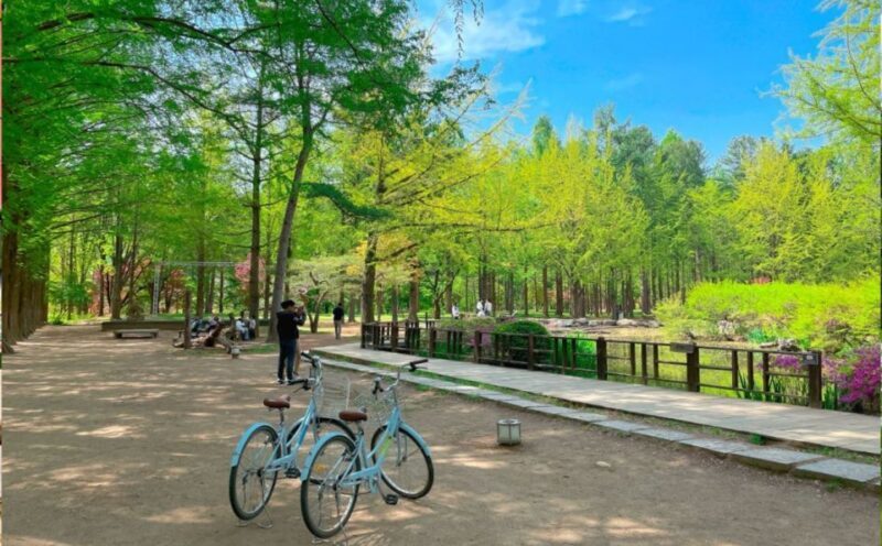 Seoul: The Painter Show with Nami Island or Alpaca World - FAQ