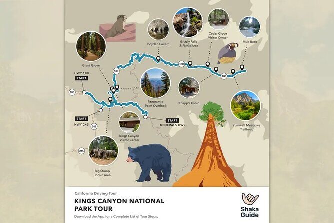 Sequoia and Kings Canyon Audio Tour Self Guide National Park Tour - An In-Depth Look at the Itinerary and What to Expect