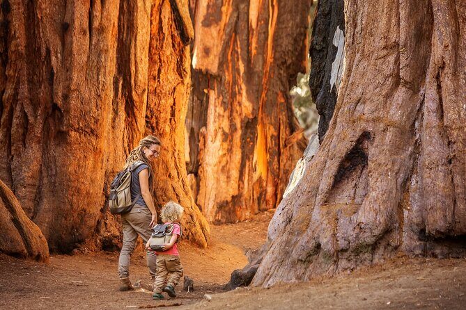 Sequoia and Kings Canyon Audio Tour Self Guide National Park Tour - FAQ