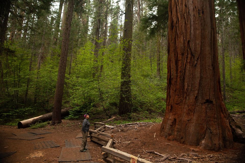 Sequoia & Kings Canyon National Parks: Two-Day Private Tour - Key Points