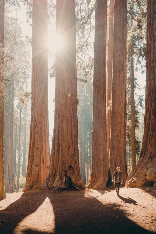 Sequoia & Kings Canyon National Parks: Two-Day Private Tour - Tour Inclusions