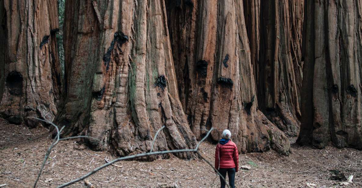 Sequoia & Kings Canyon National Parks: Two-Day Private Tour - Frequently Asked Questions