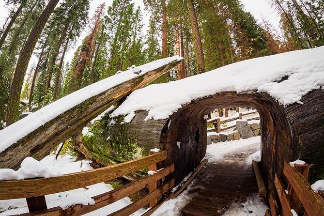 Sequoia National Park Adventure From Tulare - Exploring Sequoias History and Nature