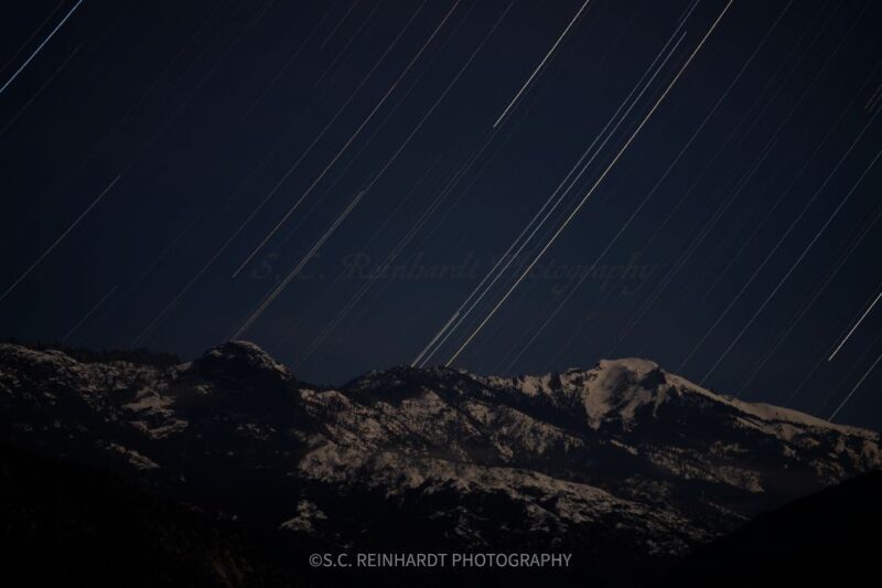 Sequoia National Park: Sherman Tree & Congress Trail Walk - Who Will Love This Tour? 