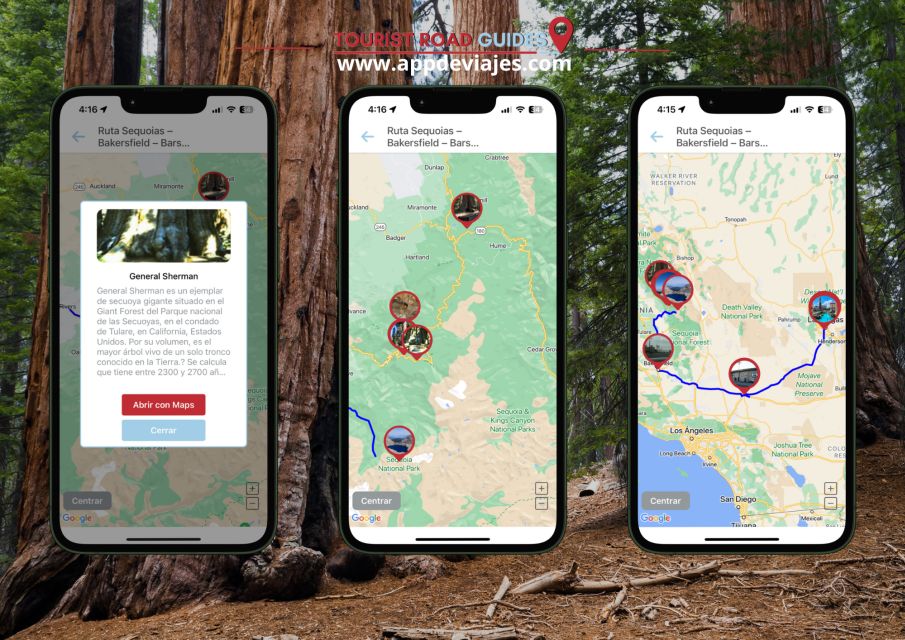 Sequoias National Park Self-Guided App With Audioguide - Key Points