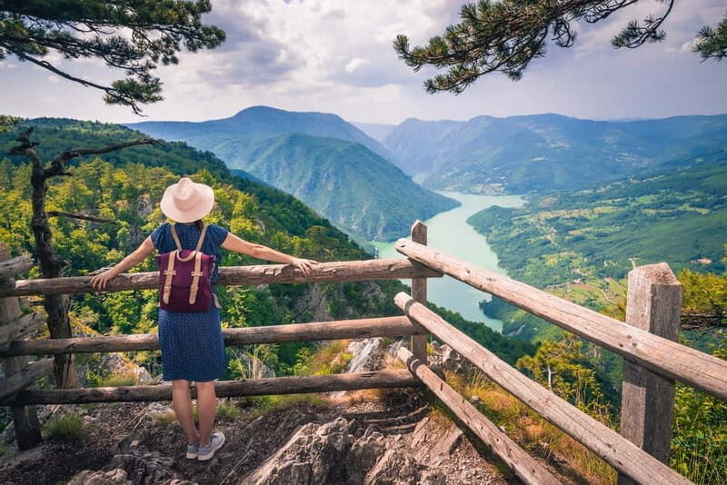 Serbia: Drina River House & Tara National Park Full Day Tour - An In-Depth Look at the Tour Experience